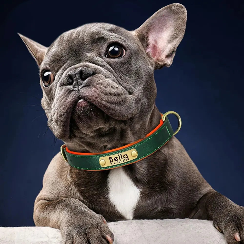 Customized Leather ID Nameplate Dog Collar Adjustable Soft Padded Dogs Collars Free Engraving Name for Small Medium Large Dogs