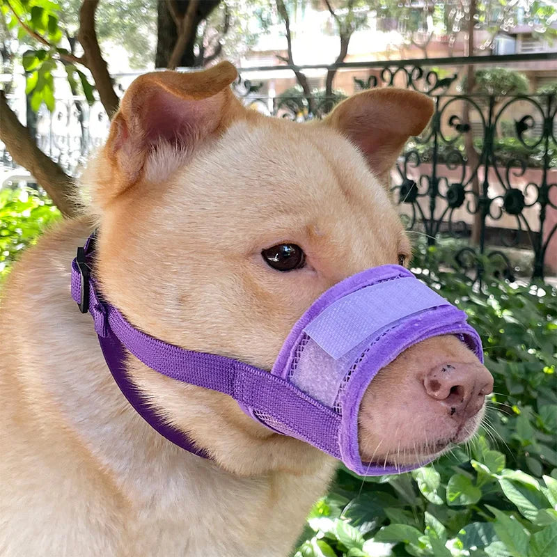 Anti-Detachment Dog Leash Muzzle