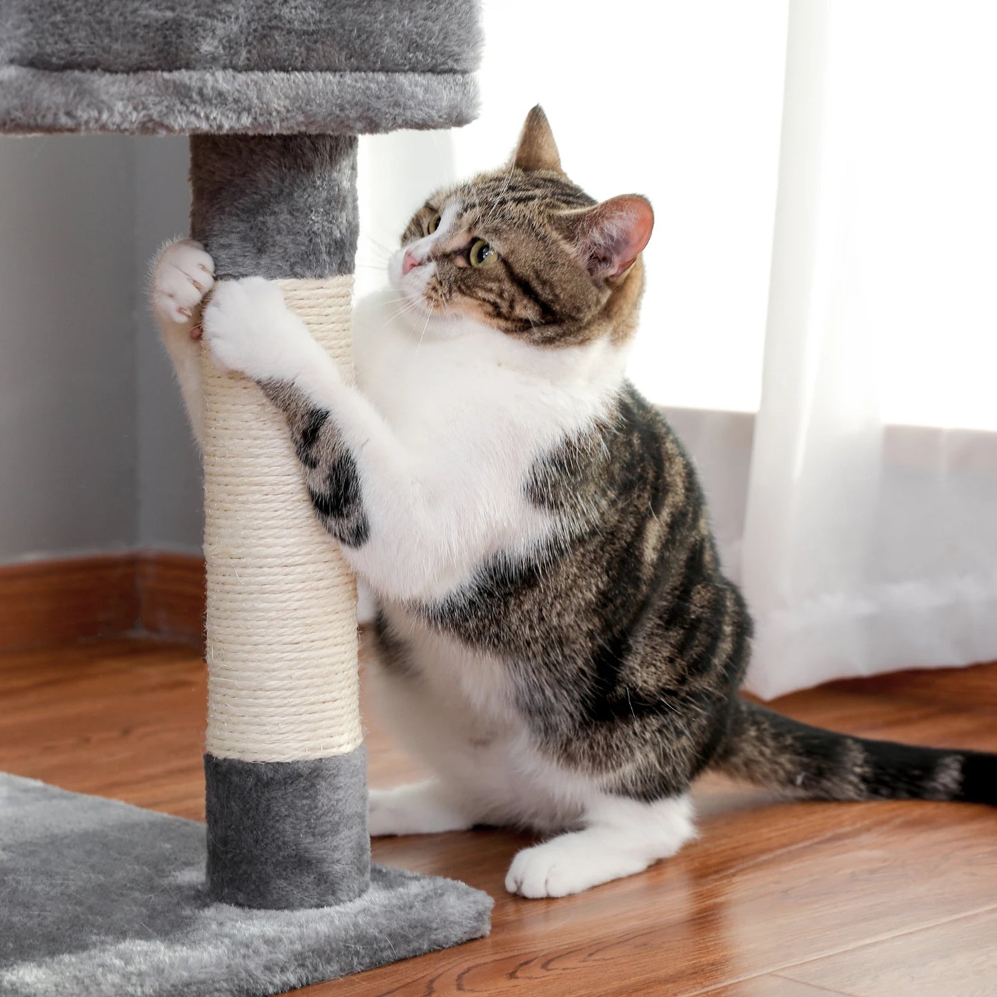 l Cat Tree With Cozy Stable Climbing Frame