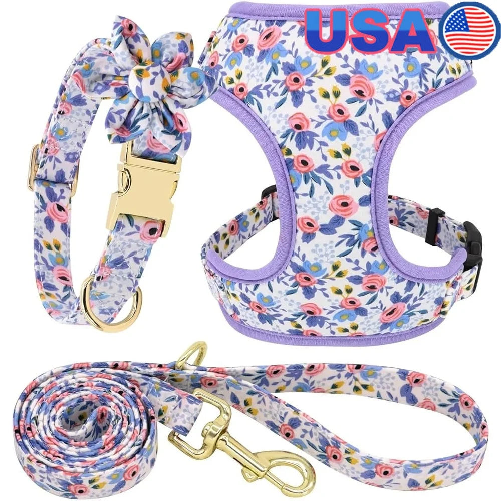 Dog Harness, Leash and Collar Set