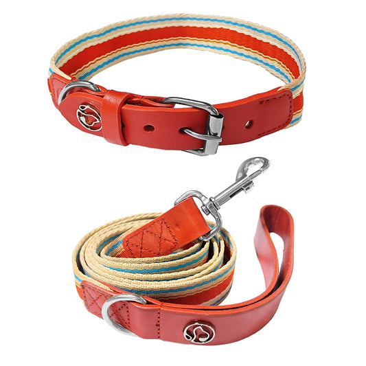 Adjustable  Collar and Leash Set for Small, Medium