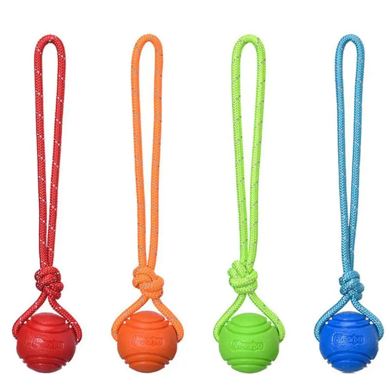 Dog Chew Training Ball Toys