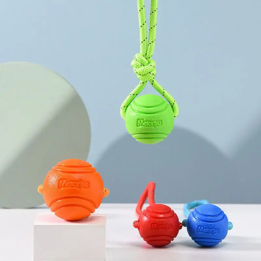 Dog Chew Training Ball Toys