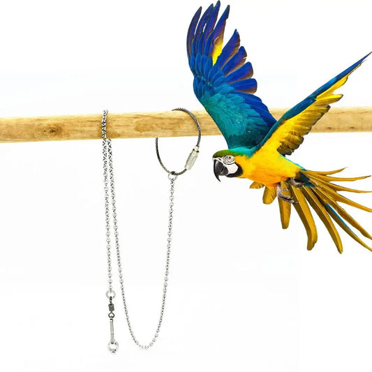 Bird Ring Outdoor Flying Training Activity