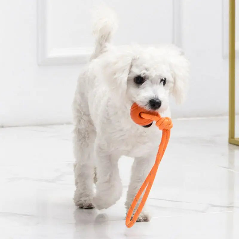 Dog Chew Training Ball Toys