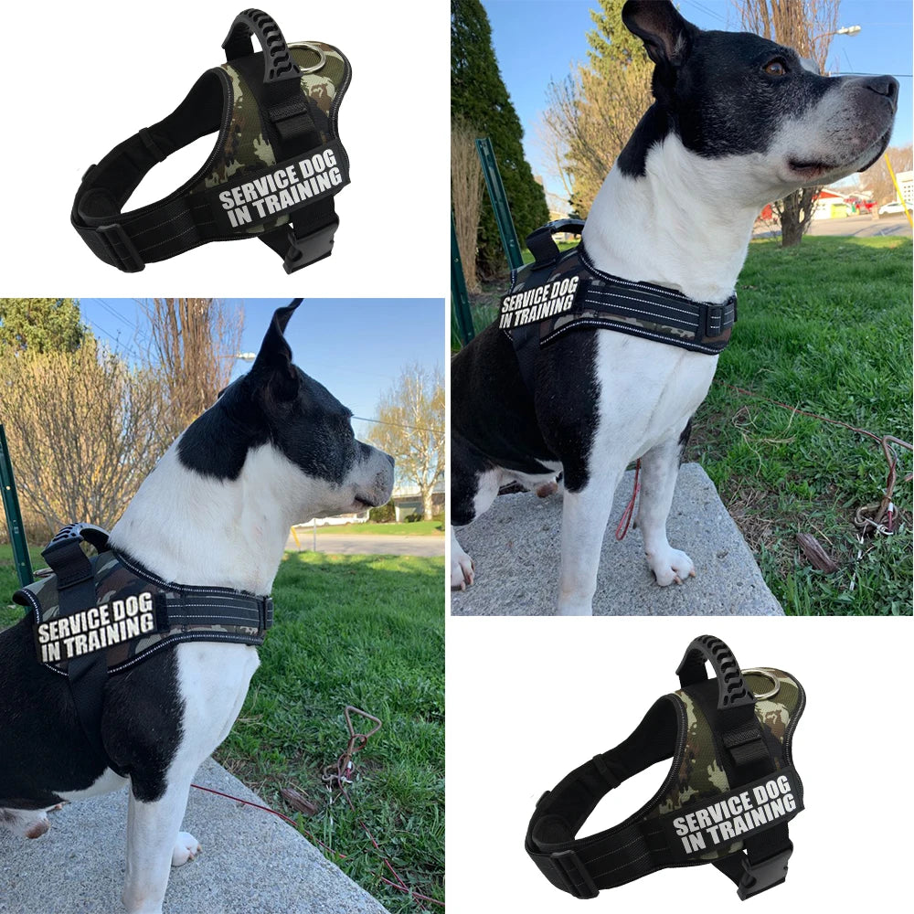 No Pull Dog Harness