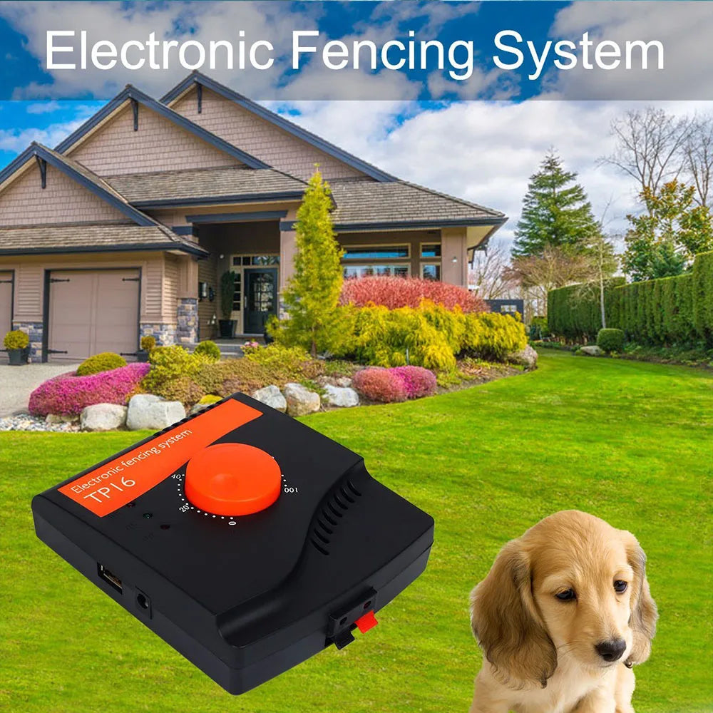 Dog Training Collar Electric Fencing  Accessories