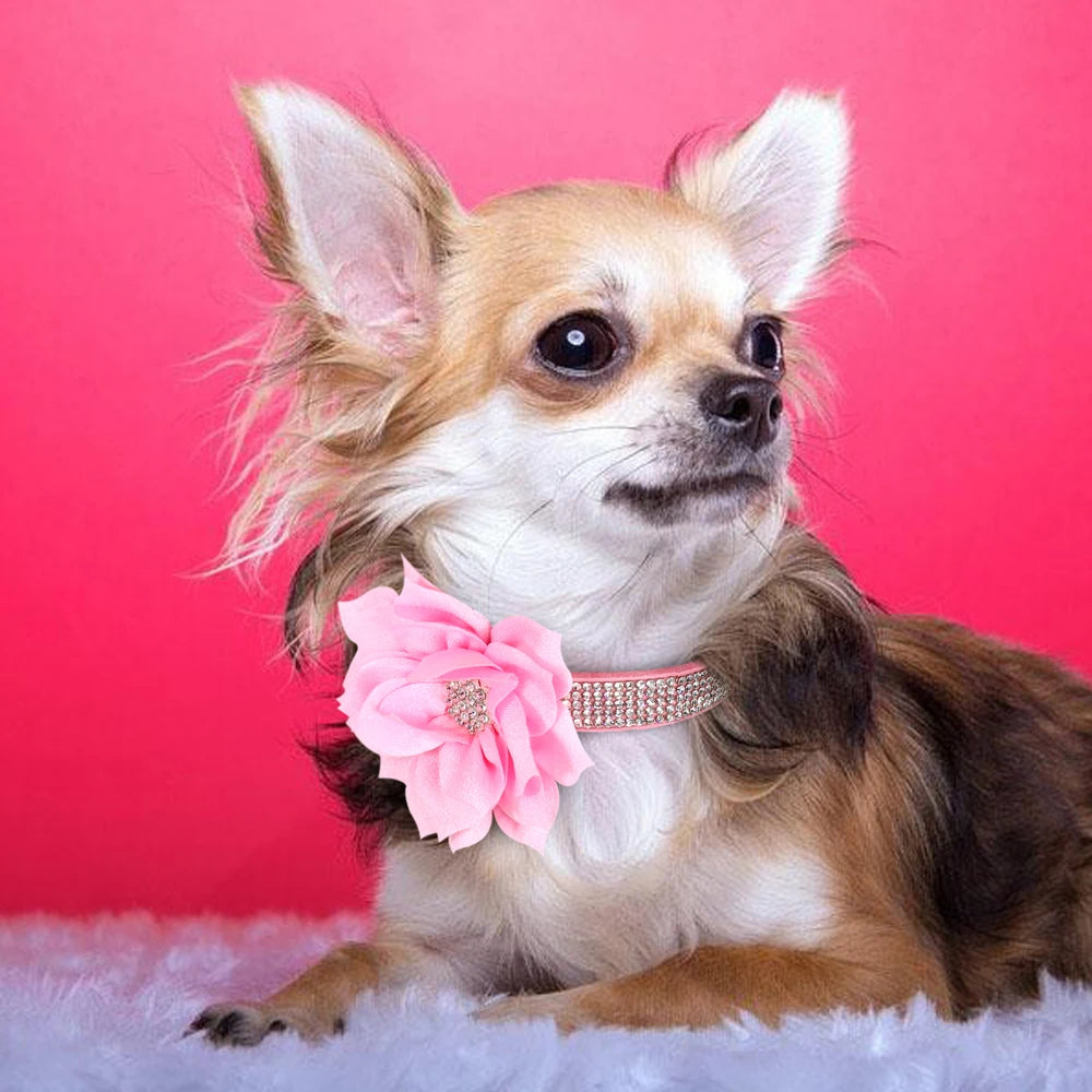 Bling Rhinestone Dog Collar With Flower Accessory