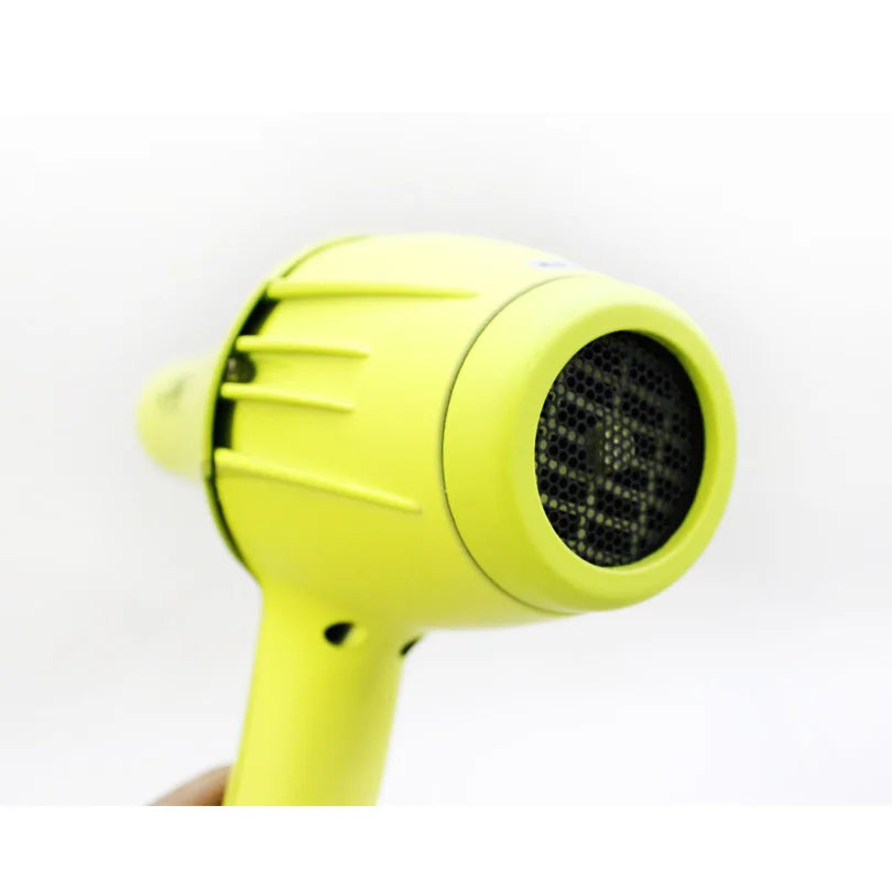 Professional Pet Hair Dryer 2400W