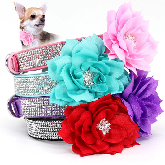 Bling Rhinestone Dog Collar With Flower Accessory