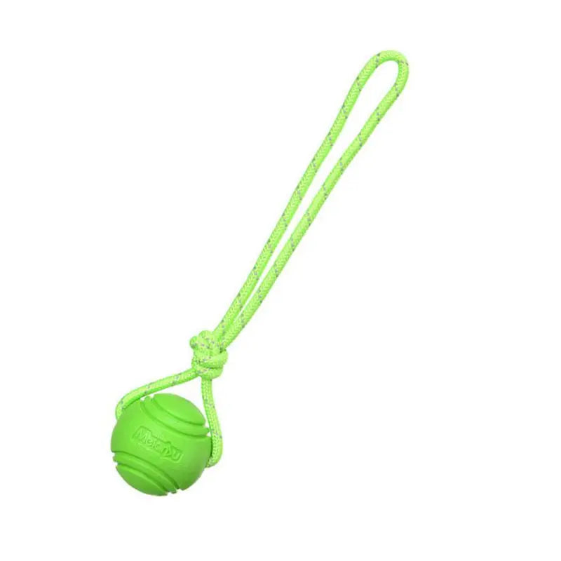 Dog Chew Training Ball Toys