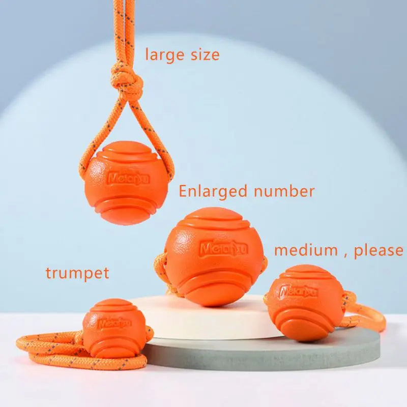 Dog Chew Training Ball Toys