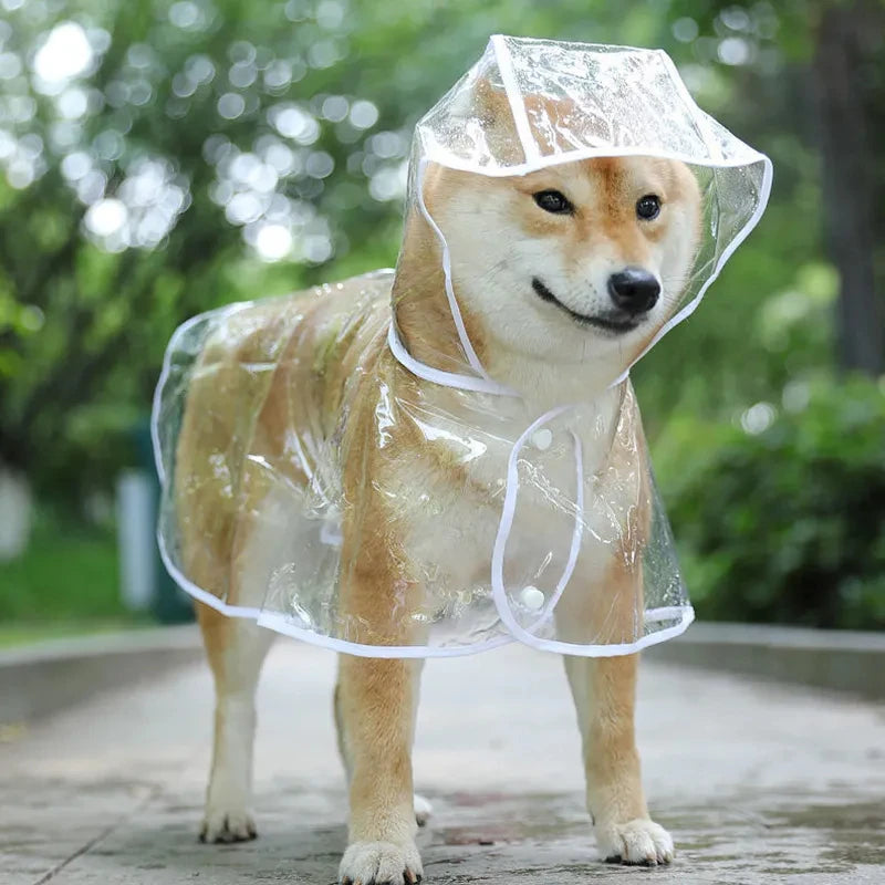 Dog  Transparent Rainwear