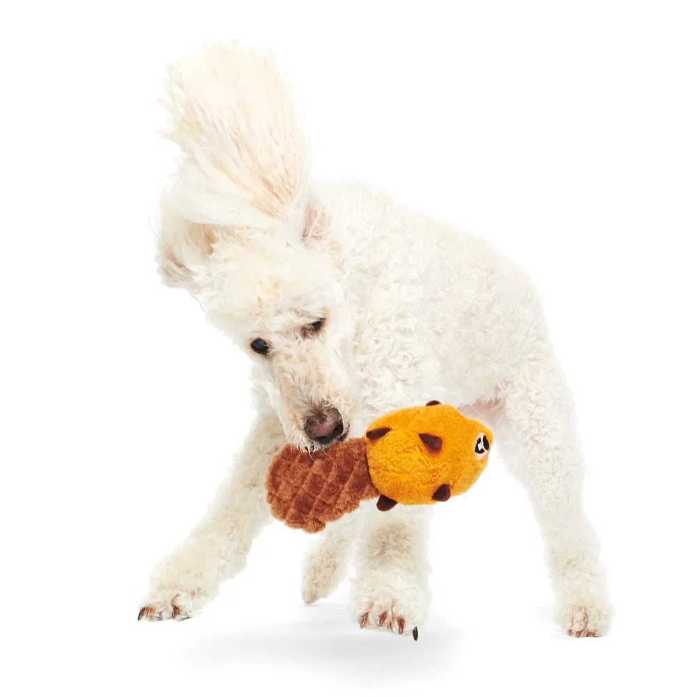 Plush Beaver Dog Toy with Squeaker