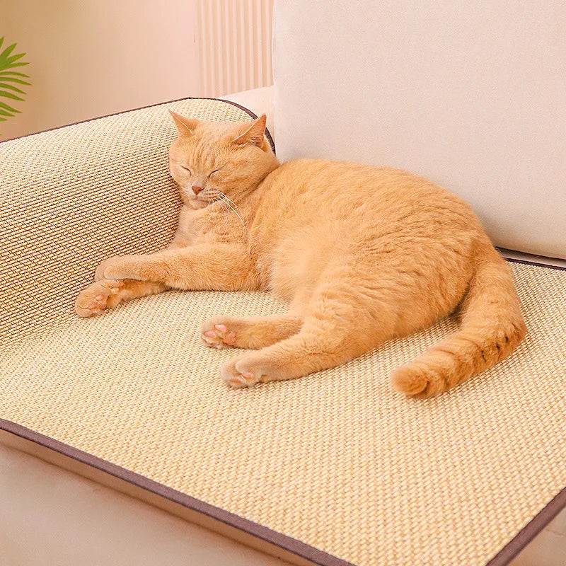 Cat Scratcher Sofa Protection