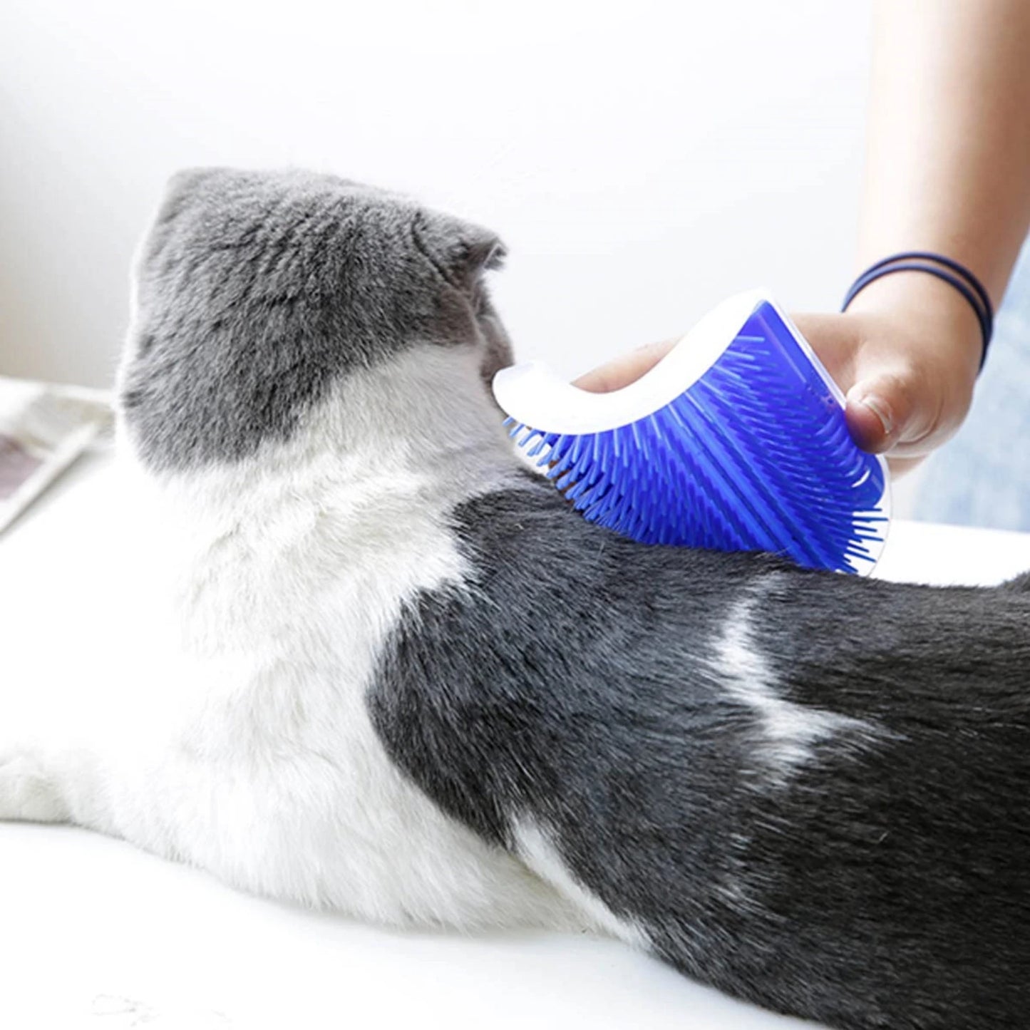 Pet Self-Cleaning Massager and Comb