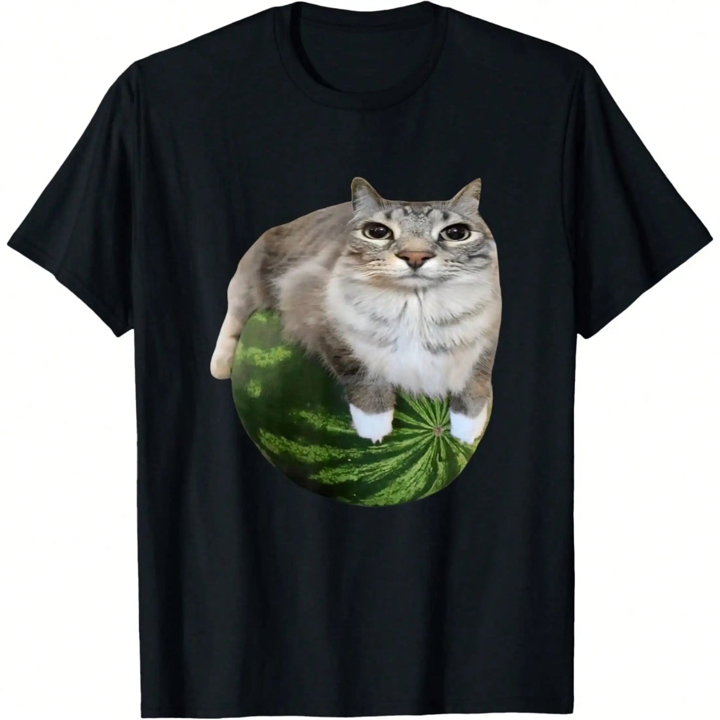 Watermelon Cat Silly Cat Meme T-Shirt
