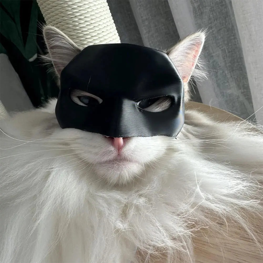 Black Bat Cat Avenger Decoration Party Mask