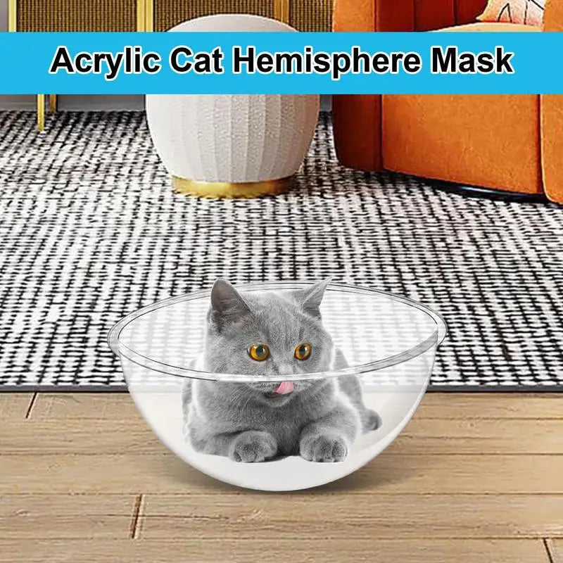 Transparent Cat bed