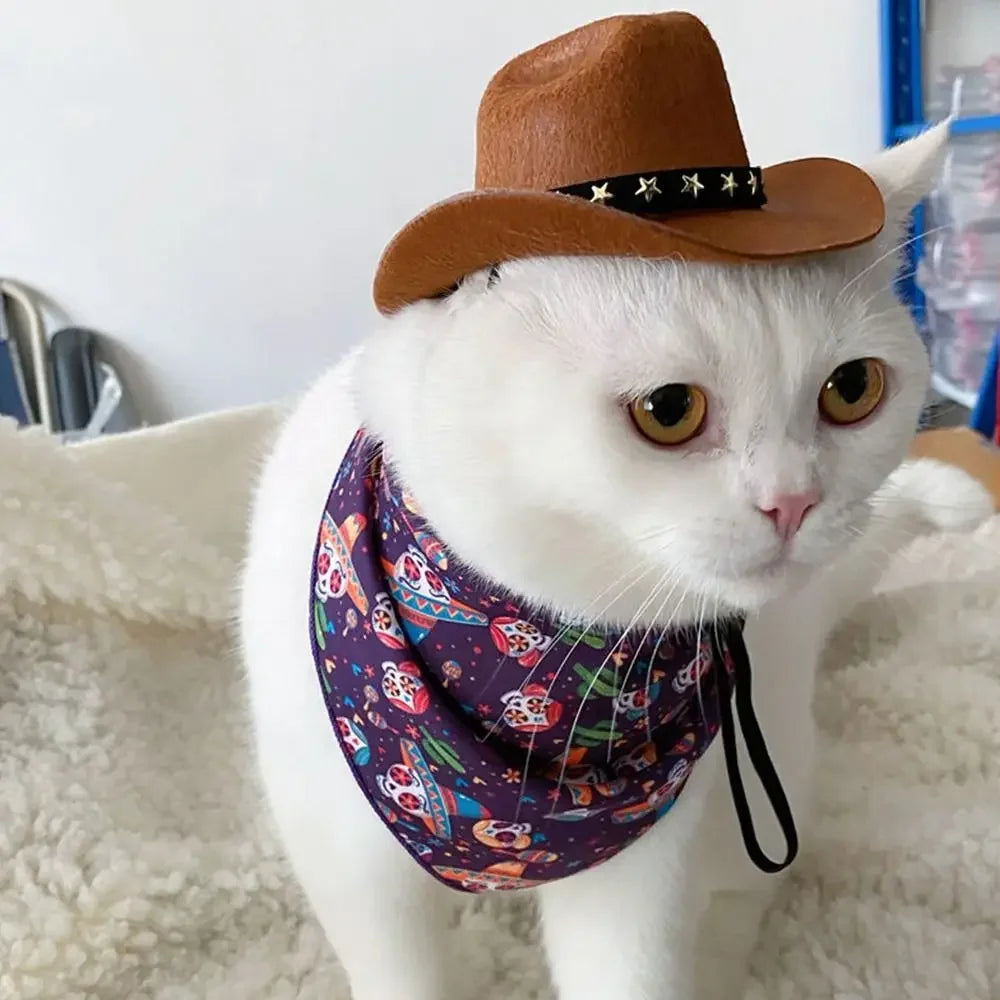 Pet Hat Star Cowboy