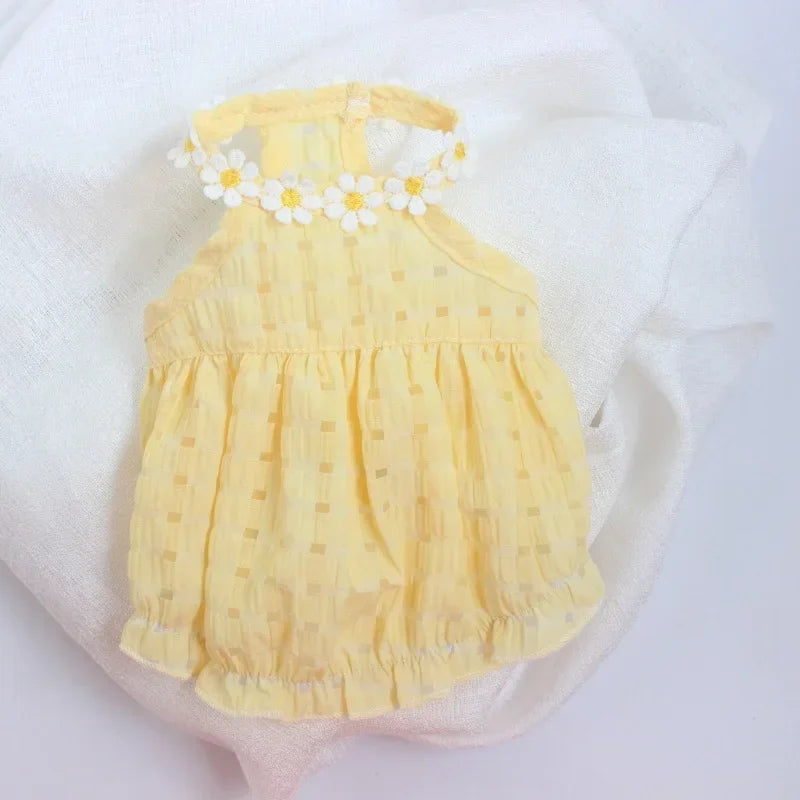 Pet Daisy Dress Clothing