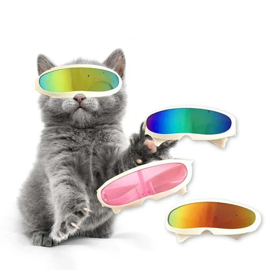 Cool Cat And Dog Goggles Funny  Sunglasses