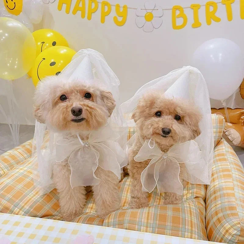 Birthday Party Dog Accessories Hat