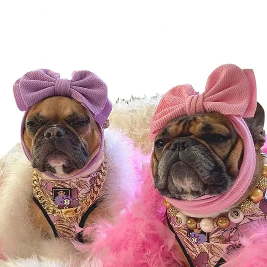 Pet Headgear bow Hat