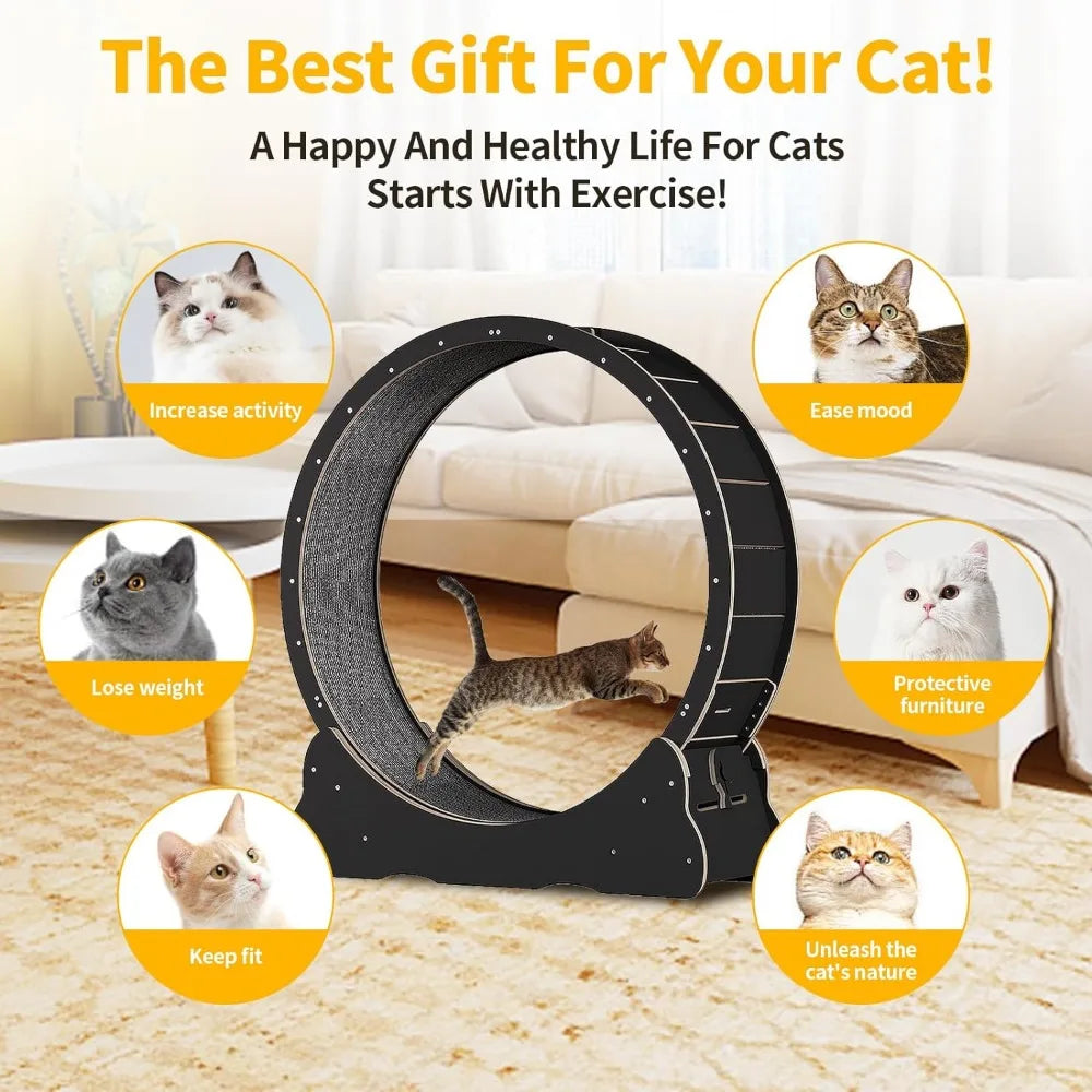 Accessories for Cats  Exercise Wheel