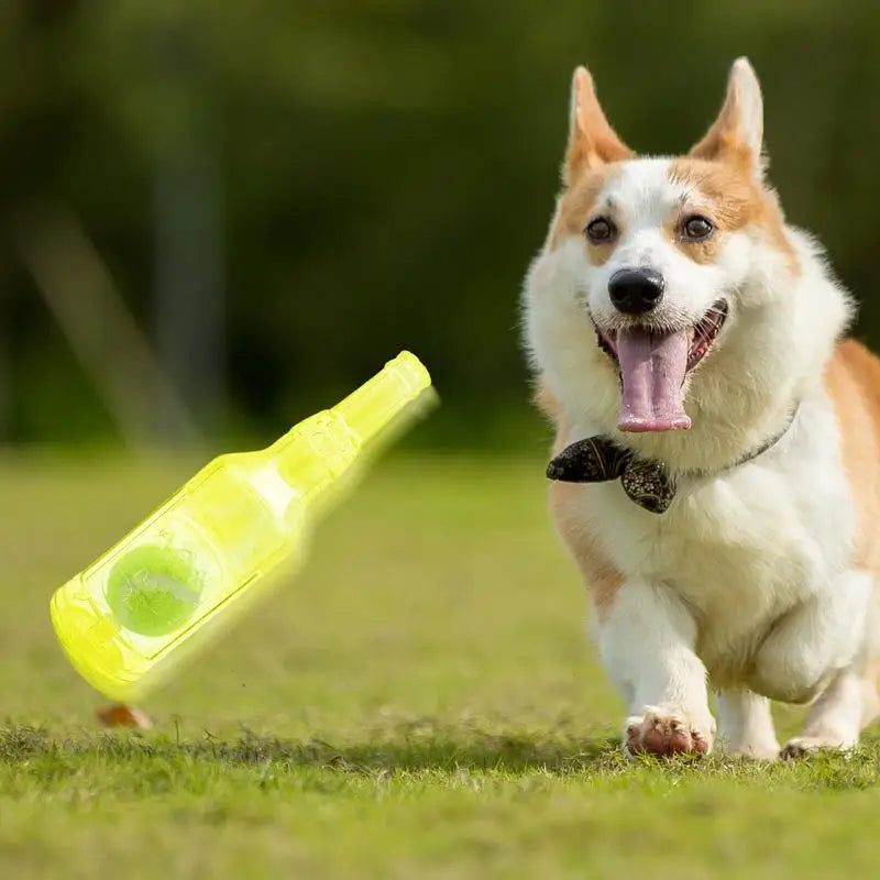 Funny Toy Bottle With Ball Toy inside