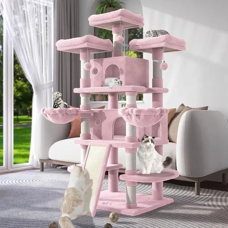 Multi-Level Large Cat Tree