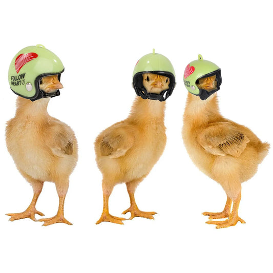 1pc Chicken Helmet Cap