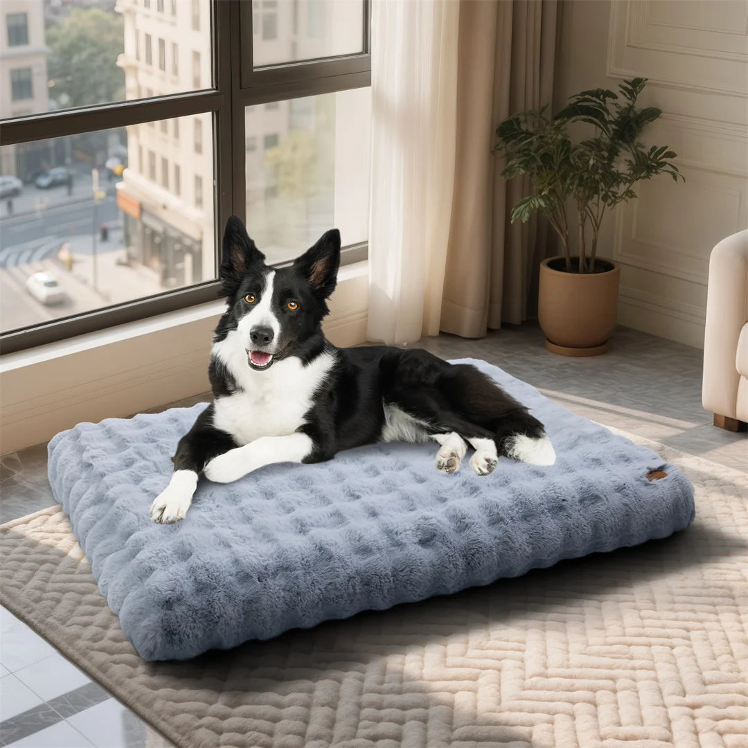 BINGO PAW Ultra-soft Dog Cozy Bed