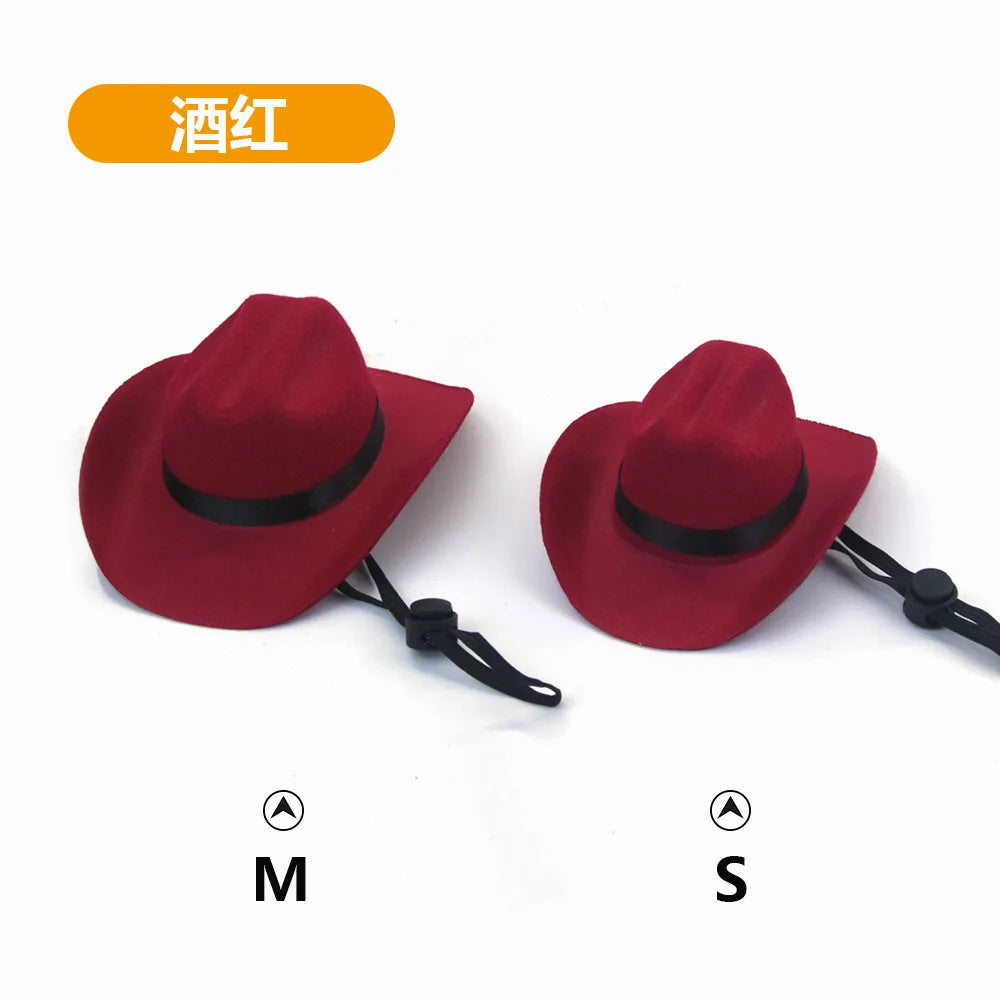 Cat Cowboy Hat Headgear