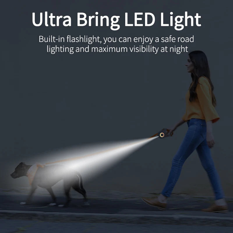 Dog Leash Automatic LED Light