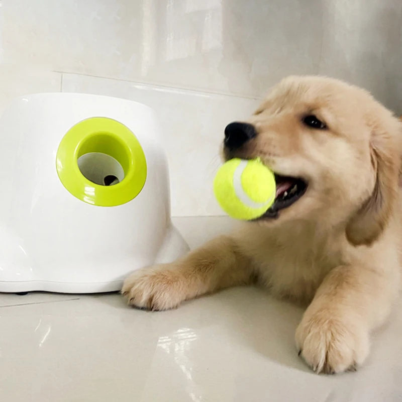 Pet Tennis Ball Machine Automatic Throw