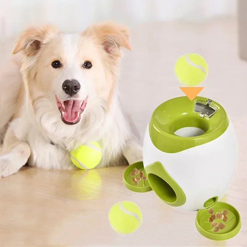 Pet Tennis Food  Reward Machine