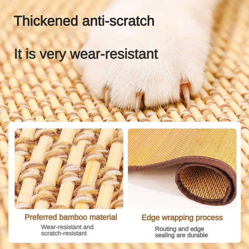 Cat Scratcher Sofa Protection