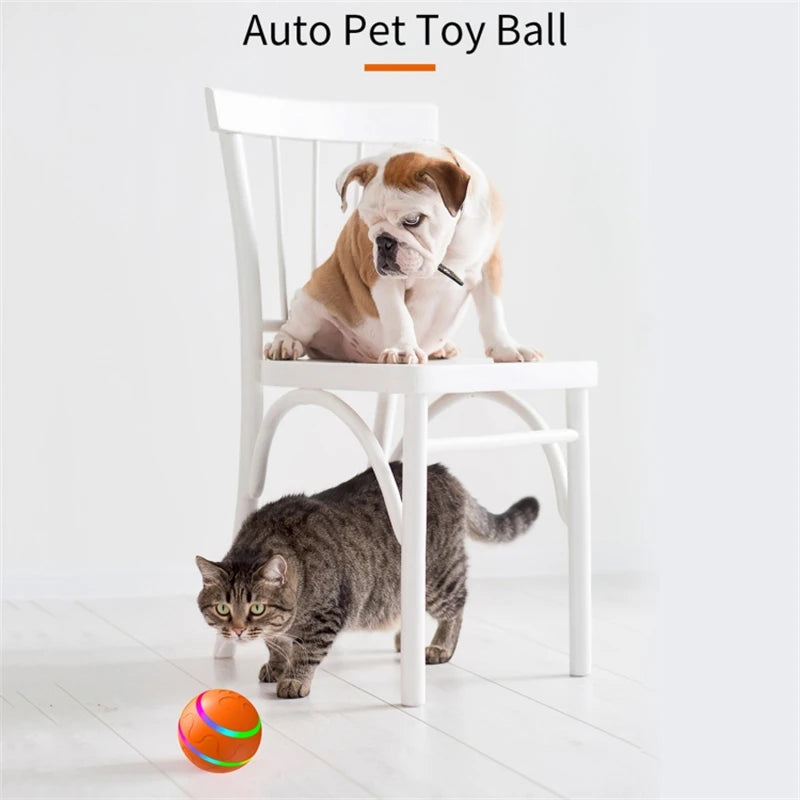 Smart Interactive Pet Ball Remote Control