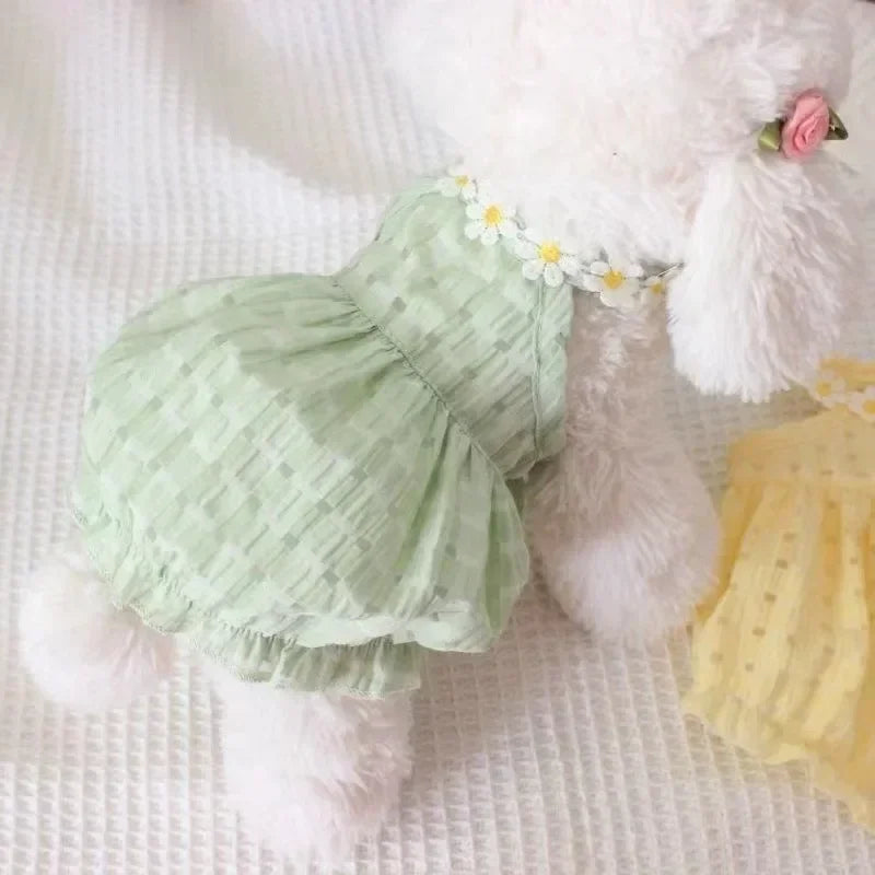 Pet Daisy Dress Clothing