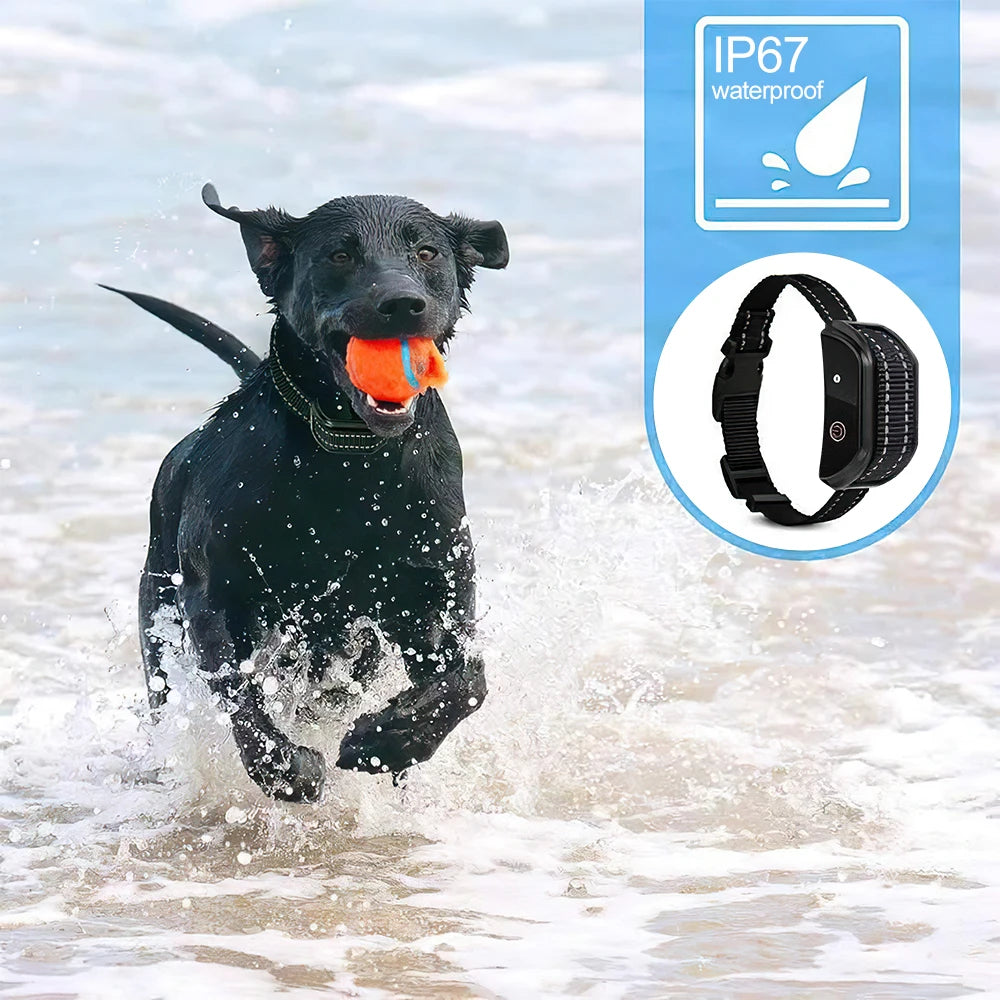 Electric Dog Training Collar Remote Control