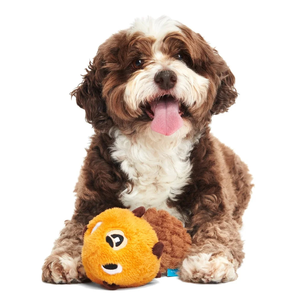 Plush Beaver Dog Toy with Squeaker