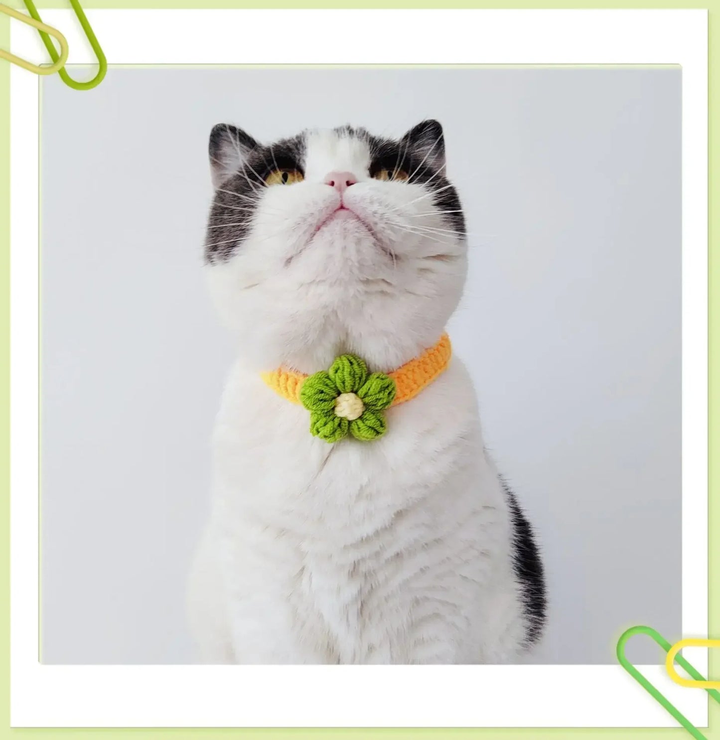 Dog and Cat Collar Adjustable Flowers Wool Necklace