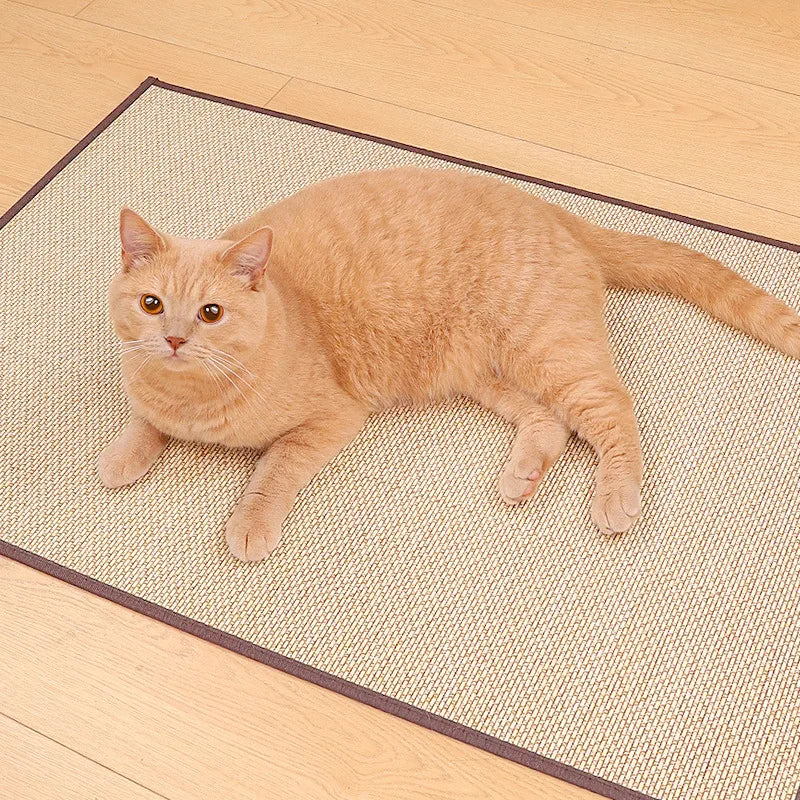 Cat Scratcher Sofa Protection