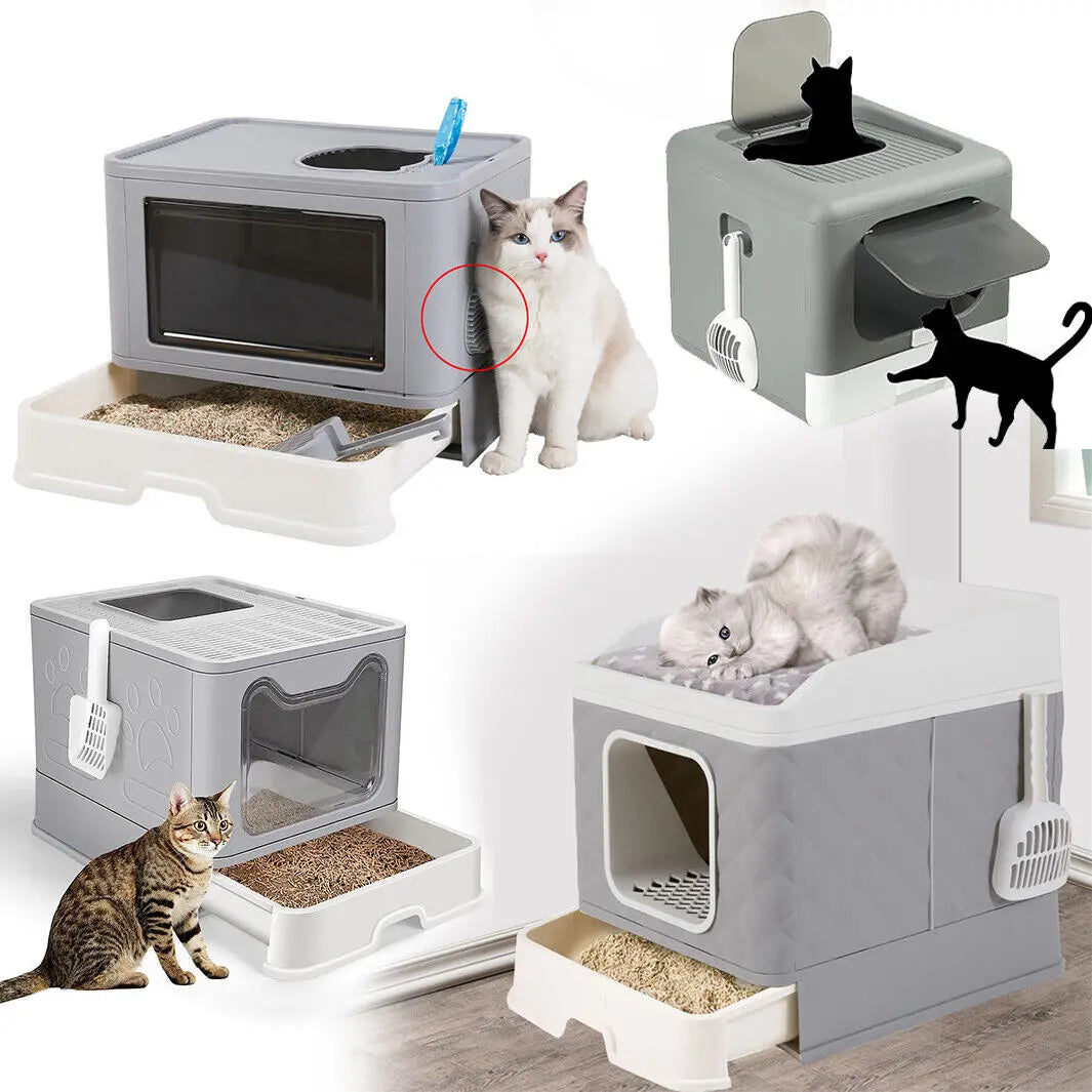 Modern Cat Litter Box Enclosure