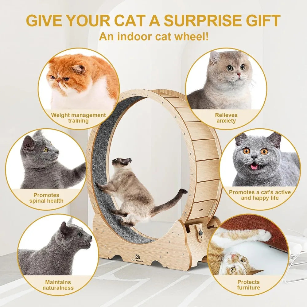 Large Cat Treadmill Exercise Wheel