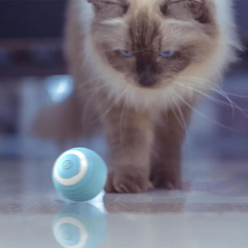 Smart Interactive Cat Toy Automatic 360 Self-Rotating Ball