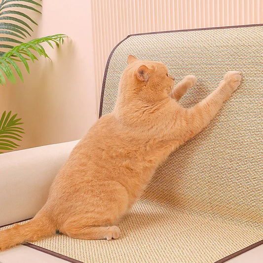 Cat Scratcher Sofa Protection