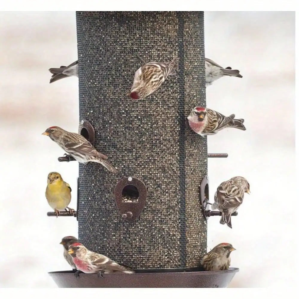 Giant combination screen bird feeder
