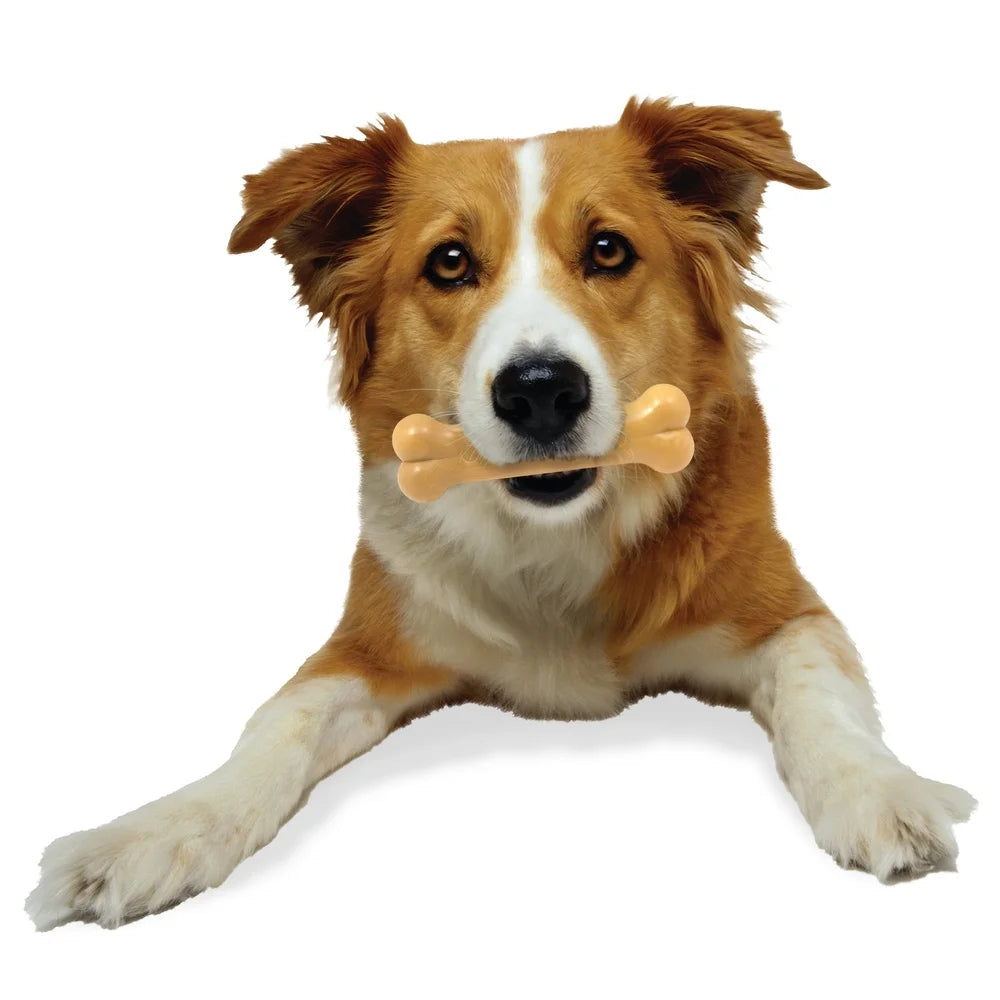 Durable Nylon Dog Chew Toy